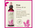 FLEUR BACH PINE GTT FL20ML