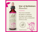 FLEUR BACH STAR BETHLEHEM 20ML