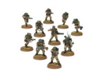 TROUPES DE CHOC CADIENNES