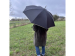 Piganiol x Noix D'arec Parapluie Canne Pour Femme Noir / Biais Or