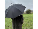 Piganiol x Noix D'arec Parapluie Canne Pour Femme Noir / Biais Or