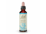 FLEUR BACH BEACH GTT FL20ML