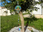 ATTRAPE SOLEIL 7 CHAKRAS