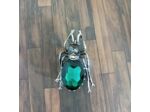 Broche scarabée vert