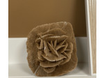 ROSE DES SABLES