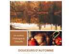 DOUCEURS D'AUTOMNE - Rooibos Citrouille - Châtaigne