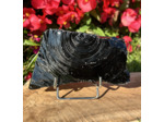 BLOCS BRUTS OBSIDIENNE NOIRE