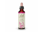 FLEUR BACH ELM GTT FL20ML