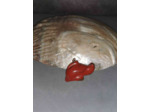 Pendentif dauphin Jaspe rouge