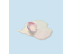 NUXE VERY ROSE HLE DELICATE DEMAQ 150ML