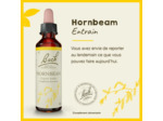 FLEUR BACH HORNBEAM GTT FL20ML
