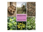 DIGESTIVE - Infusion N°2