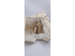 Pendentif cordon cuir jaspe olpa1160