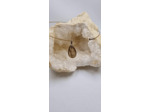 Pendentif quartz rutile sans cable olpa2482/2483