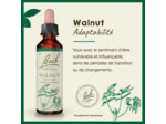 FLEUR BACH WALNUT GTT FL20ML
