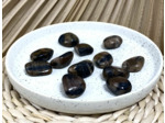 CHIASTOLITE