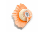 RG SAVON OEILLET 100G
