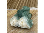 Fluorine pièce unique petite
