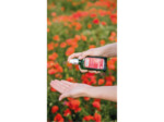 Huile Regeneratrice 100ml Weleda