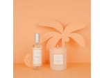 BOUGIE PARFUMÉE TROPICAL COCO