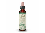 FLEUR BACH WALNUT GTT FL20ML