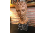Buste de David