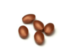 Expert Bronzage 56 Comprimes Forté Pharma