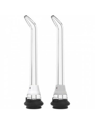 WATERPIK CANULES ULTR WP100 2