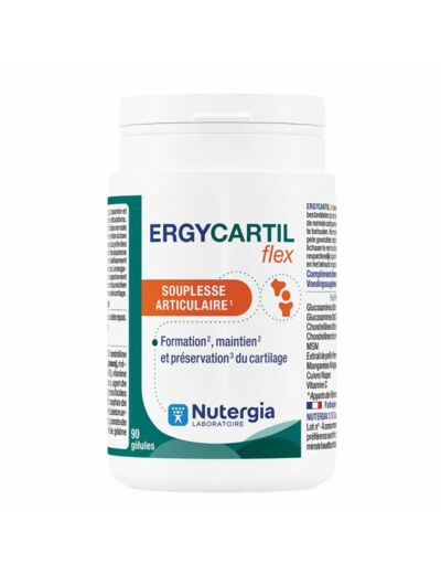 ERGYCARTIL FLEX 90 GELULES