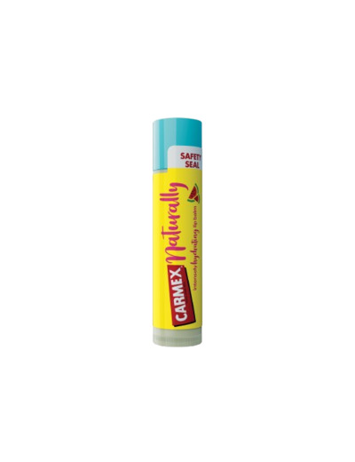 CARMEX NATUR STICK PAST