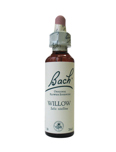 FLEUR BACH  WILLOW GTT 20 ML