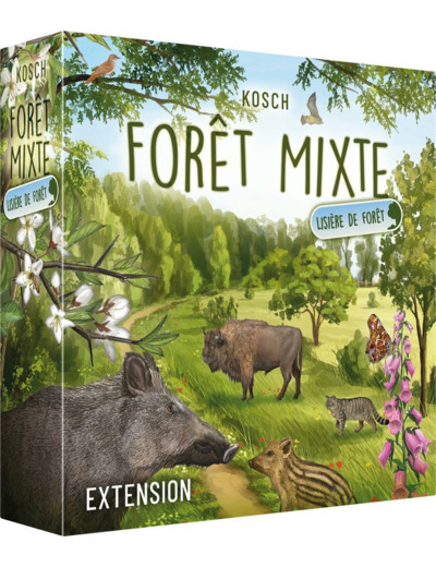 Forêt Mixte : Lisière de forêt (Ext)