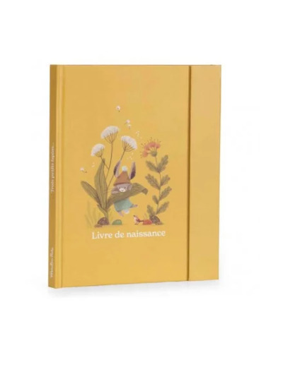 Livre de naissance "trois petits lapins"