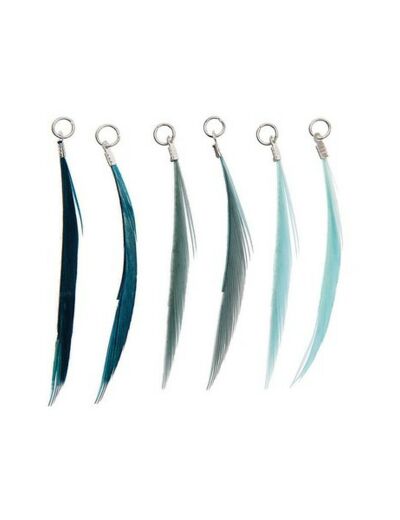 Assortiment 6 Plumes turquoises