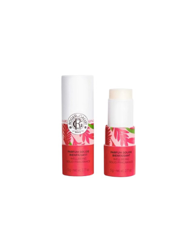 RG GINGEMBRE ROUGE PARFUM SOLIDE STICK 5G