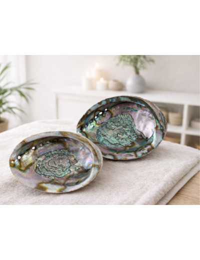 COQUILLE D'ORMEAU BLANCHE