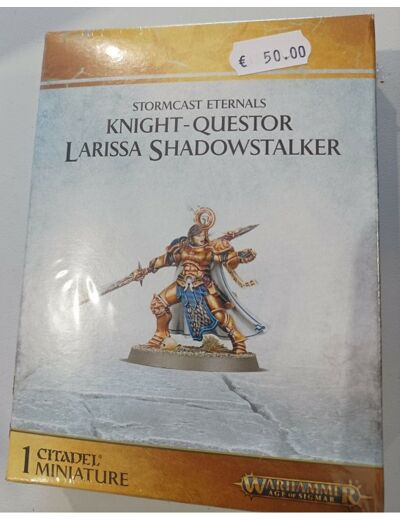 Knight Questor Larissa Shadowstalker