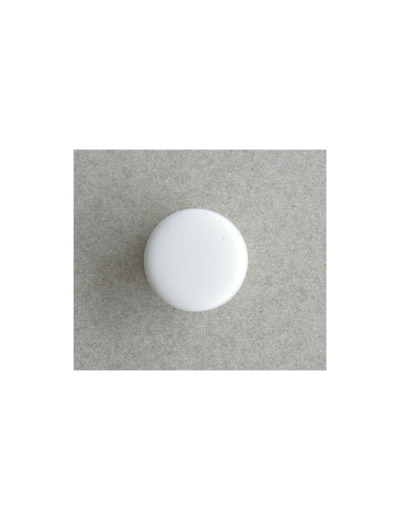 Bouton pastille blanc