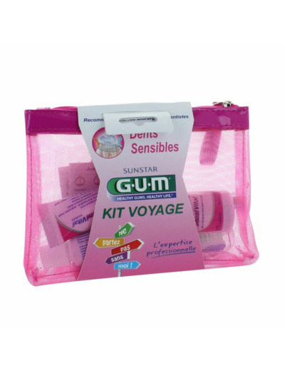 GUM KIT VOYAGE DENTS