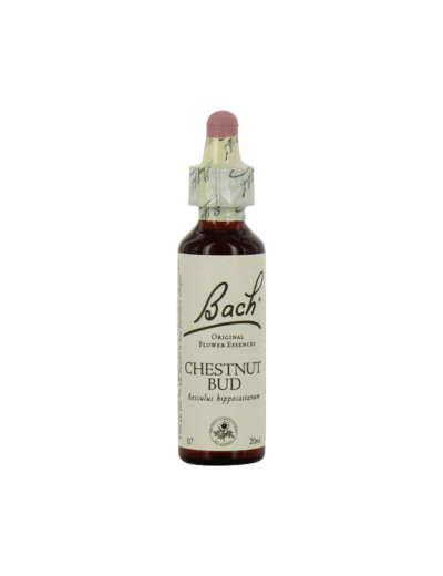 FLEUR BACH CHESNUT BUD GTT 20ML