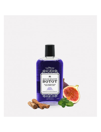 BOTOT BAIN DE BOUCHE VIOLET 250ML