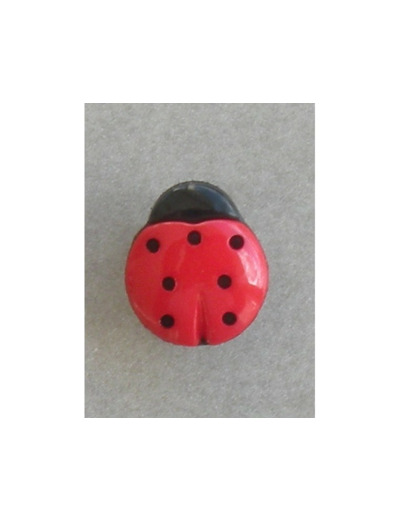 Bouton coccinelle rouge et noir