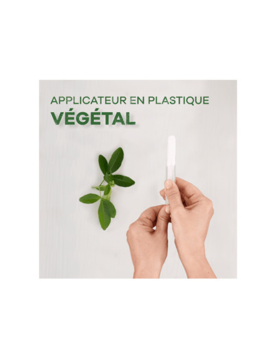 TAMPAX CPK COTT REG 14