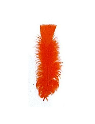 Plumes de dinde  - Orange