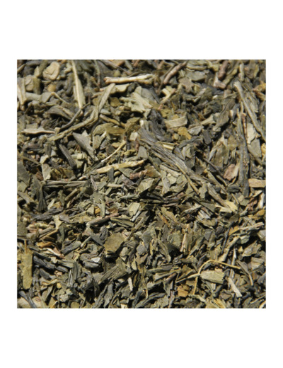 SENCHA - Thé vert