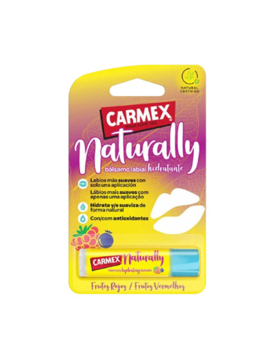 CARMEX NATUR STICK FR