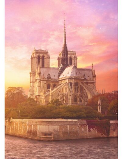 Puzzle Mystère - 1 - Notre Dame 200 ans plus tard