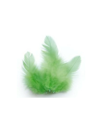 Plumes de coq - Vert clair