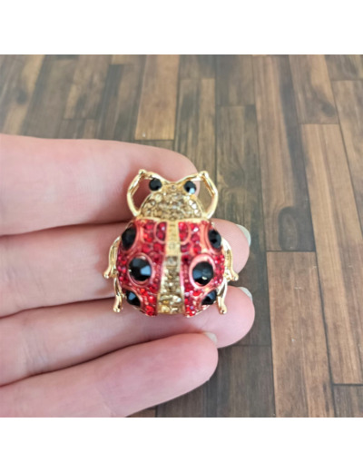 Broche coccinelle