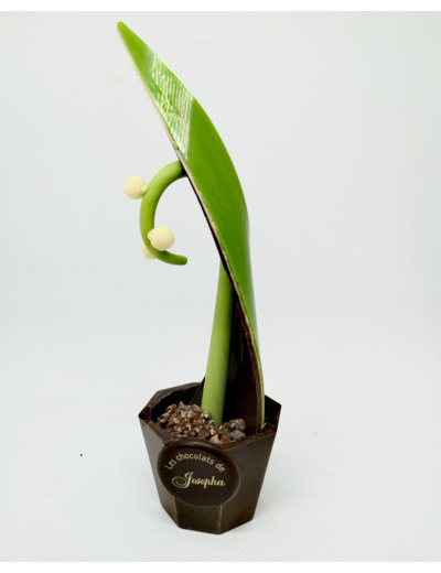 Pot de Muguet